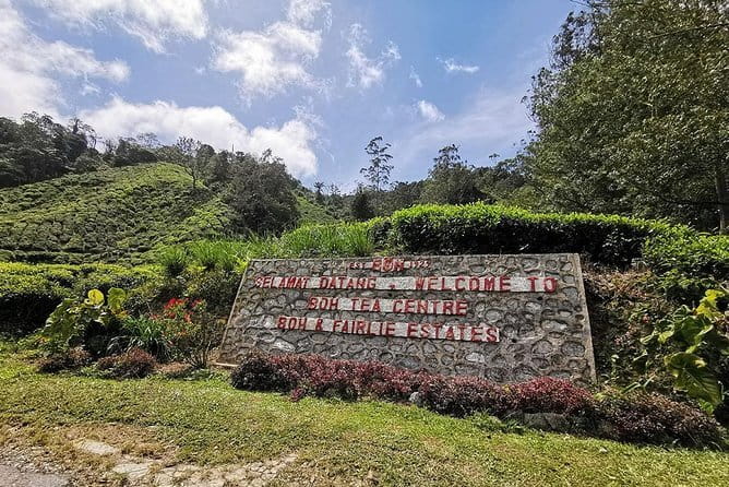 Cameron Highland Day-Trip from Kuala Lumpur - BOH Tea Plantation and the story behind the fields