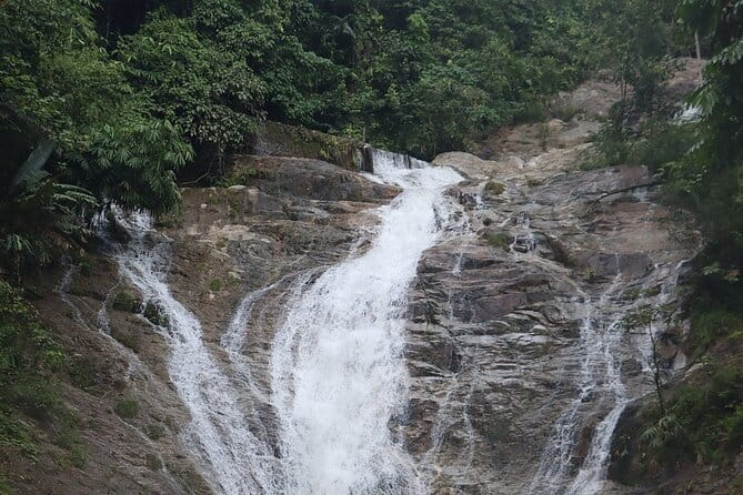 Cameron Highland Full Day Tour from KL City Private Tour - Why Cameron Highlands makes a good day trip from Kuala Lumpur