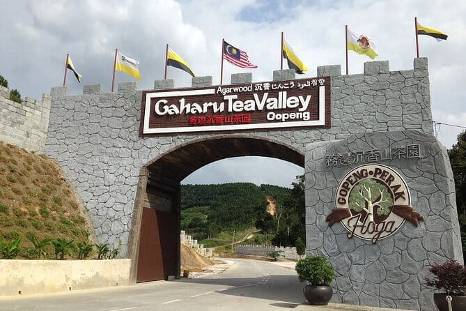 Cameron Highland Full Day Tour from KL City Private Tour - BOH Tea Plantation and the story of tea