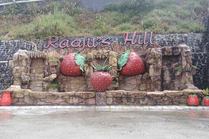 Cameron Highland Private Day Tour - MARDI Agro Technology Park and the farming side of Cameron Highlands