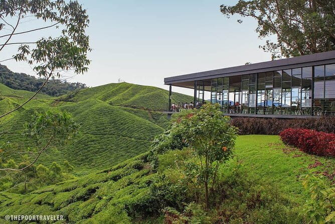 Cameron Highland Private Day Tour From Ipoh - Key points at a glance