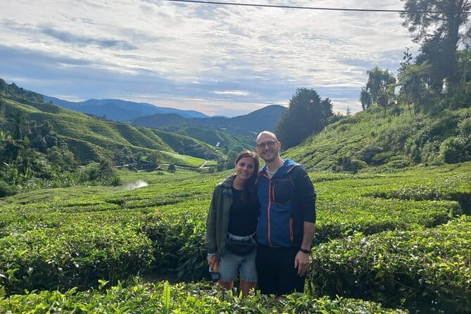 Cameron Highland Private Day Tour From Ipoh - BOH Tea Estate at 1,500 metres
