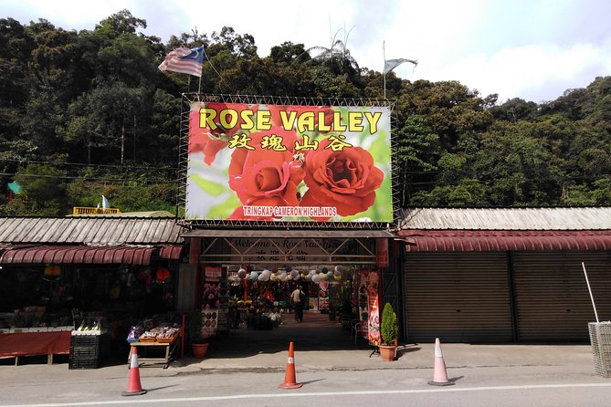 Cameron Highland Private Day Tour - Kea Farm Market, where produce takes over the roadside