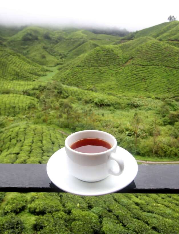 Cameron Highlands 1 Day Tour from Kuala Lumpur - The long climb from Kuala Lumpur