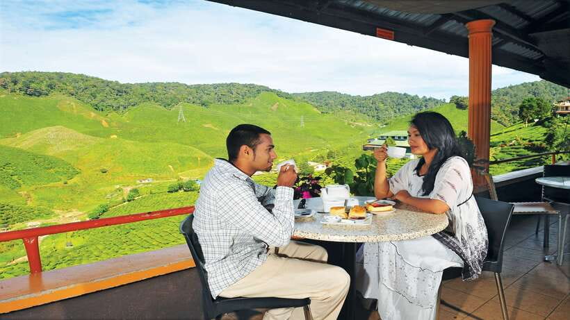Cameron Highlands 1 Day Tour from Kuala Lumpur - Who will enjoy this Cameron Highlands day trip?