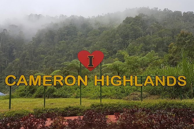 Cameron Highlands Amazing Day Trip Tour with Local Lunch - Key points to know before you book