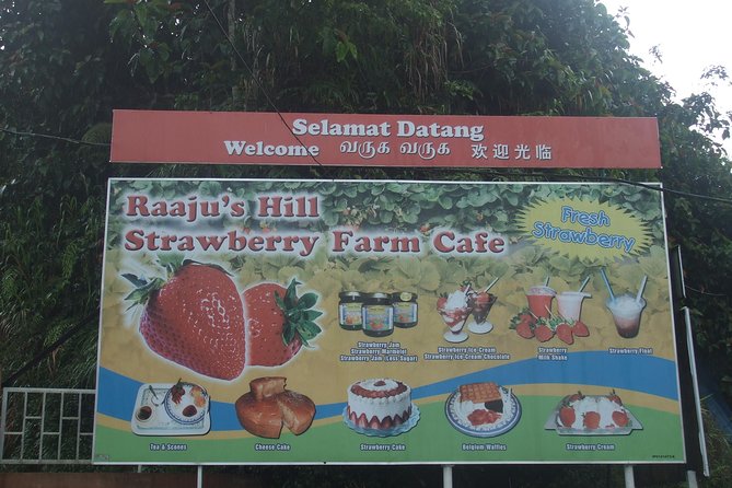 Cameron Highlands Amazing Day Trip Tour with Local Lunch - Honey tasting at Ee Feng Gu Bee Farm