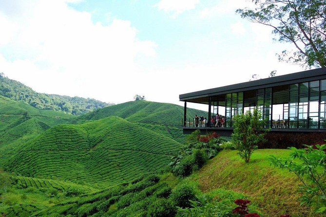 Cameron Highlands Full-Day Nature Tour - Why Cameron Highlands makes a worthwhile day trip