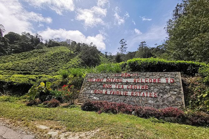 Cameron Highlands Full-Day Nature Tour - BOH Tea Plantation, the day’s scenic highlight