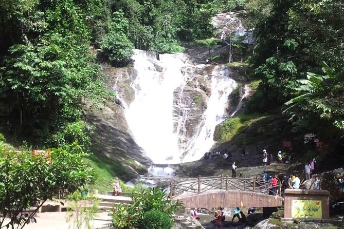 Cameron Highlands Full-Day Nature Tour - What the private driver service is really like