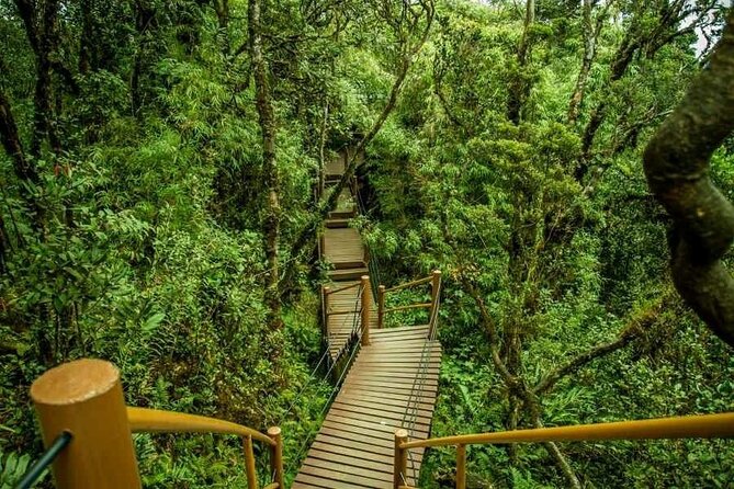 Cameron Highlands Full-Day Tour from Ipoh with Lunch - Key points to know before booking