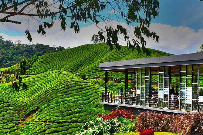 Cameron Highlands Full-Day Tour from Ipoh with Lunch - Kea Farm Market: produce, flowers, and easy browsing