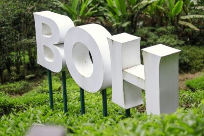 Cameron Highlands Full-Day Tour from Ipoh with Lunch