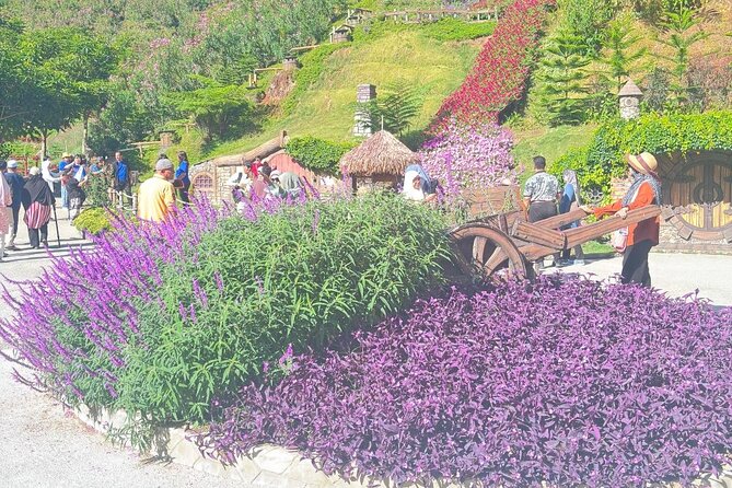 Cameron Highlands Full-Day Tour from Ipoh with Lunch - Lunch at Golfer’s Cafe in Brinchang