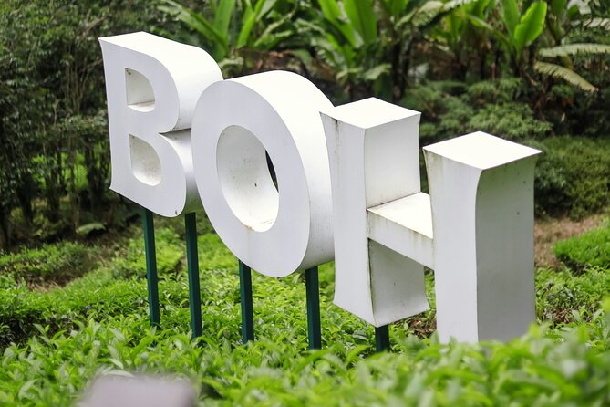 Cameron Highlands Full-Day Tour from Ipoh with Lunch - Sam Poh Temple above Brinchang