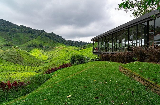 Cameron Highlands One Day Trip from Kuala Lumpur Privately Organised - Butterfly Garden adds variety to the route