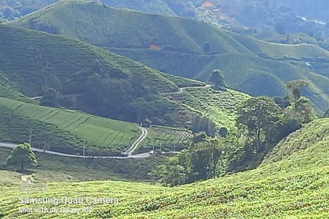 Cameron Highlands Private Day Tour from Ipoh, Package B - Key points to know before you book