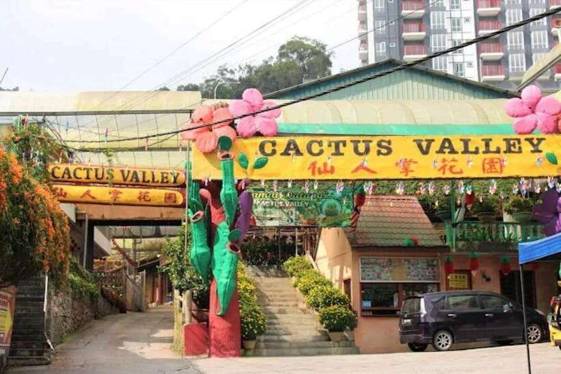 Cameron Highlands Private Day Trip - Cactus Valley: a short garden visit