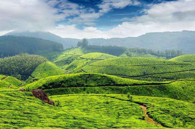 Cameron Highlands Private Day Trip - Lata Iskandar Waterfall: a quick rainforest pause