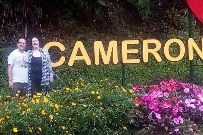 Cameron Highlands Sightseing Tour - Honey, butterflies, and market stops fill out the picture