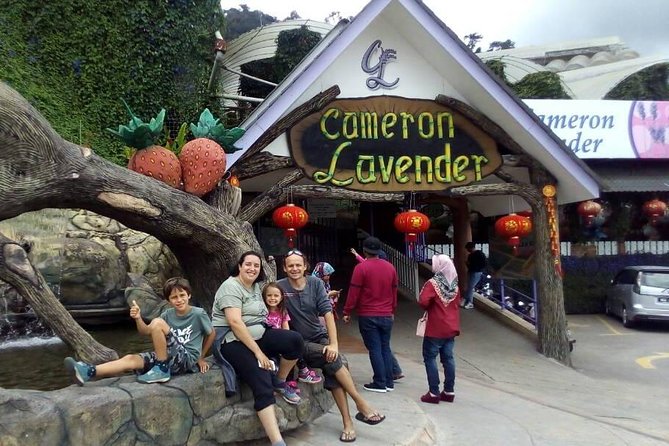 Cameron Highlands Sunrise Discovery - What the four-hour schedule gives you