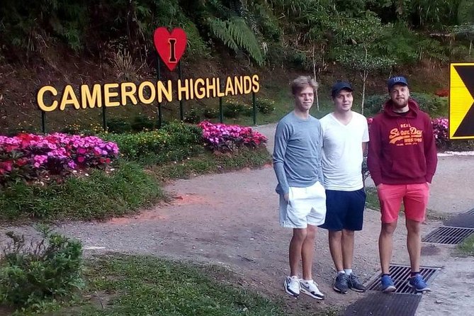 Cameron Highlands Sunrise Discovery - Choosing between the two tour options