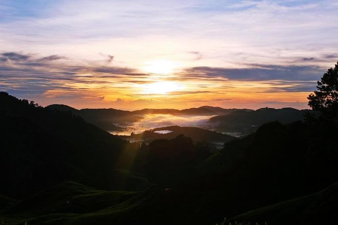 Cameron Highlands Sunrise Discovery - Seeing tea production at Sungai Palas BOH