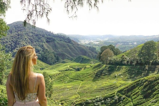 Cameron Highlands Tour from Kuala Lumpur - What the driver does and does not provide