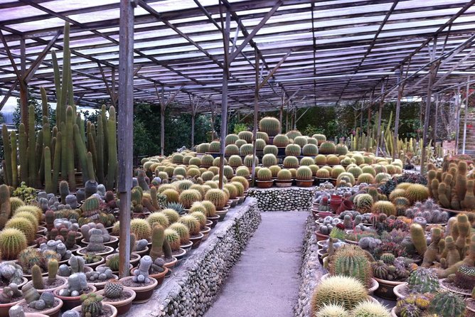 Cameron Highlands Tour From Kuala Lumpur (Private Tour) - Strawberry farms around Brinchang
