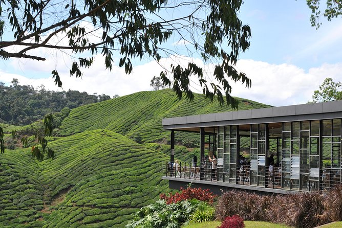 Cameron Highlands Tour From Kuala Lumpur (Private Tour) - Lata Iskandar waterfall and the climb into the hills