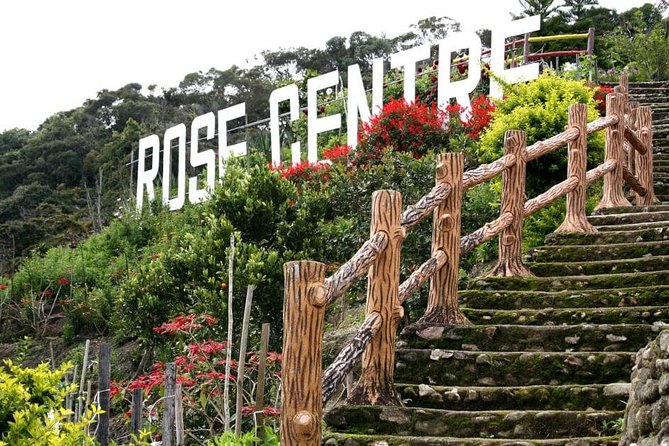 Cameron Highlands Tour on Private Basis - Butterflies, insects, and the Cactus Garden
