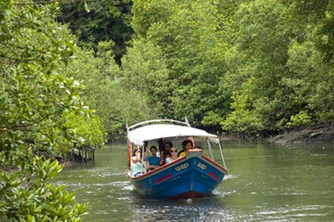 Combo - Cable Car & Sky Bridge And Tg. Rhu Mangrove Private Boat Tour With Lunch - Two sides of Langkawi in six hours
