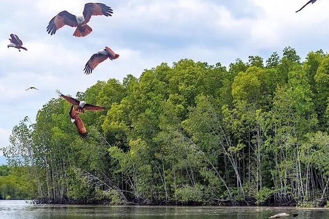 Combo - Cable Car & Sky Bridge And Tg. Rhu Mangrove Private Boat Tour With Lunch - The private guide makes the difference
