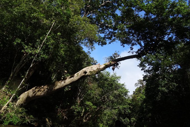 Day Tour Aborigine Village @ Rainforest Taman Negara + Batu Caves - Leaving Kuala Lumpur at 6am