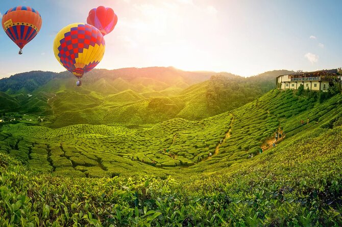 Day Trip to Cameron Highlands: Nature Escape from Kuala Lumpur - Leaving Kuala Lumpur at 7:00 am