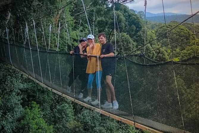 Day Trip to Kinabalu Park and Poring Hot Spring Guided Tour - Key points to know before booking