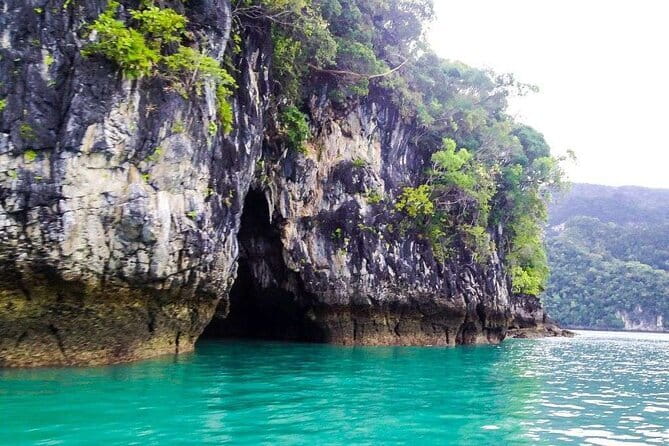 Discover Mangrove Forest and Cave Tour in Langkawi (Shared Tour) - A practical look at Langkawi’s mangrove tour
