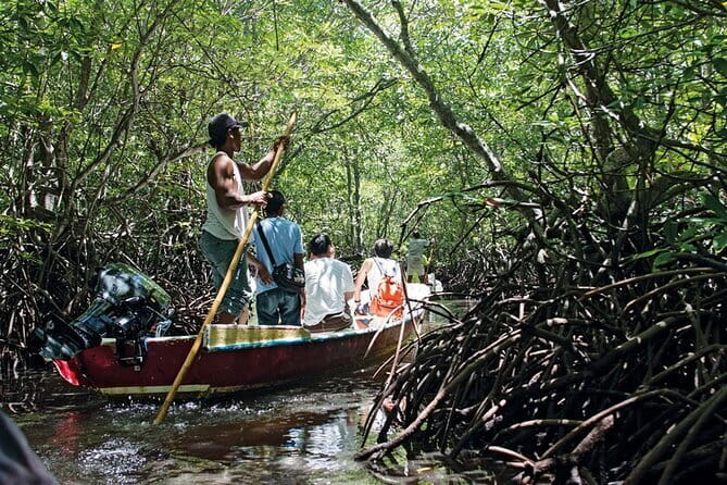 Discover Mangrove Forest and Cave Tour in Langkawi (Shared Tour) - What wind can change on the water
