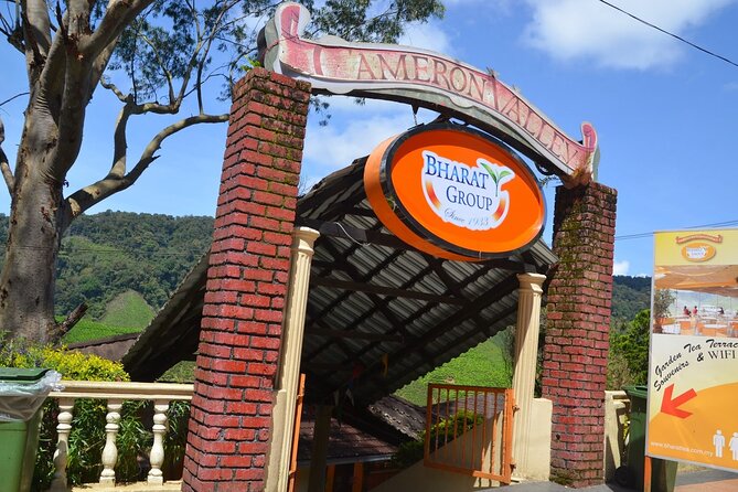 Elevate Your Senses: A Day of Wonders in Cameron Highlands! - Orchid and Rose Garden: flowers in a short visit