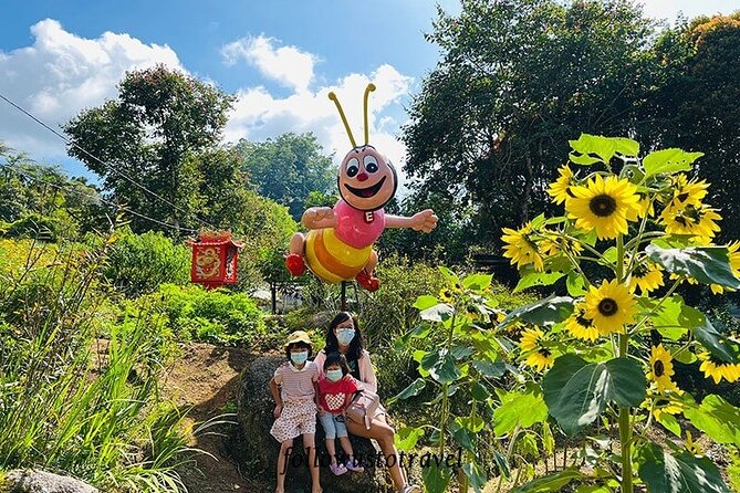 Elevate Your Senses: A Day of Wonders in Cameron Highlands! - Strawberry and bee farms: agriculture you can taste