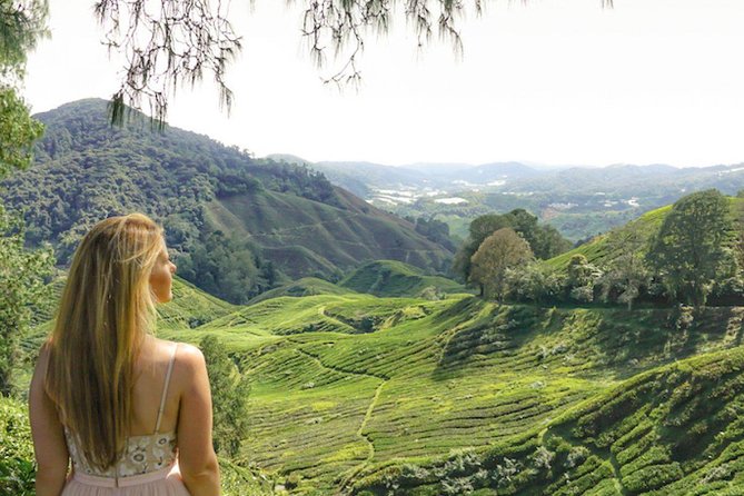 Explore Cameron Highlands: Full-Day Tour with Scenic Batu Caves - Why this Cameron Highlands day trip is so demanding