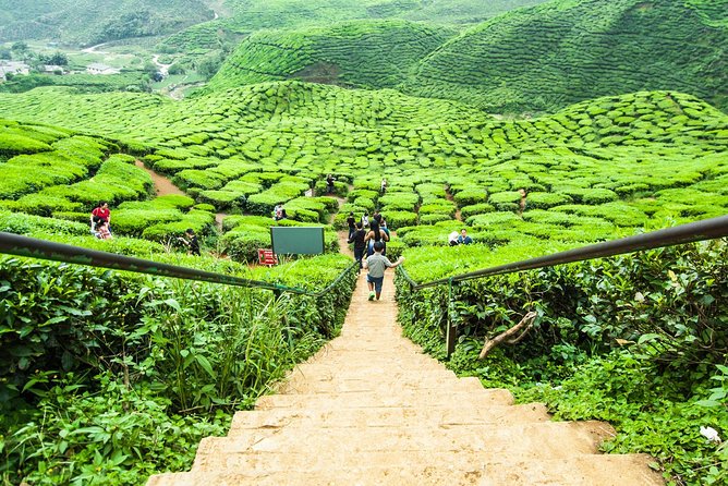 Explore Cameron Highlands: Full-Day Tour with Scenic Batu Caves - Batu Caves before the mountain road
