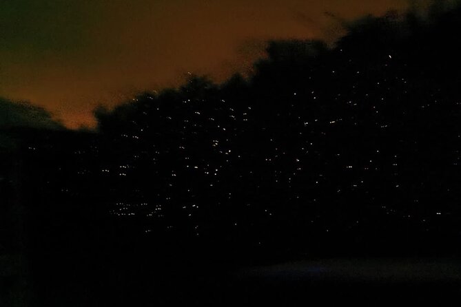 Fireflies & Silver leaf monkey Gazing tour - Who will enjoy this five-hour evening