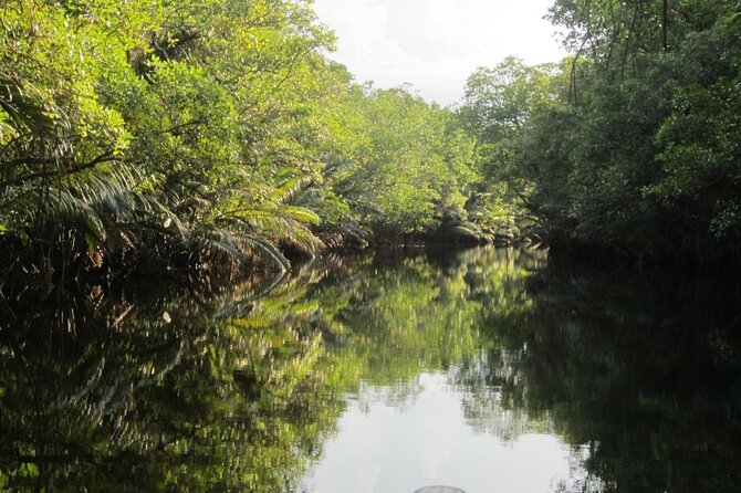 Fireflies Tour in Cherating - Key points to know before booking