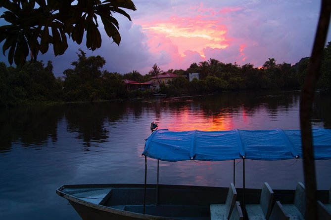 Fireflies Tour in Cherating - The Cherating River after dark