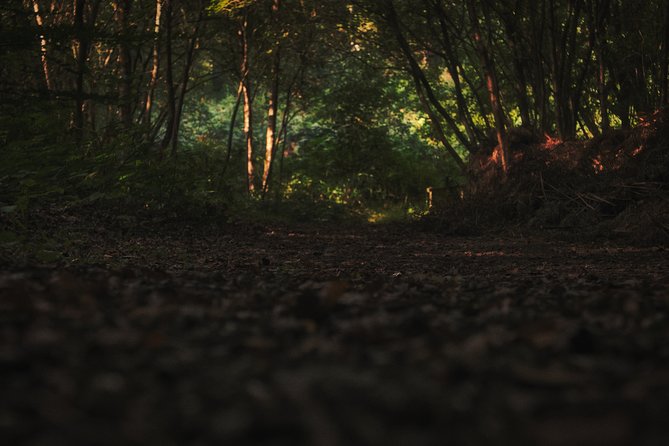 Fireflies Tour in Cherating - Is $18 a fair price?