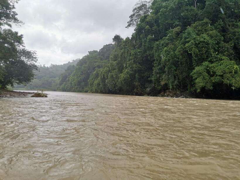 From Kota Kinabalu : Kiulu White Water Rafting Tour + meal - Guides who keep the fun under control