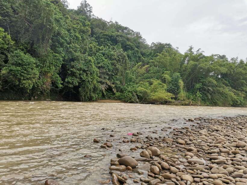 From Kota Kinabalu : Kiulu White Water Rafting Tour + meal - Who will enjoy this Kiulu rafting trip?