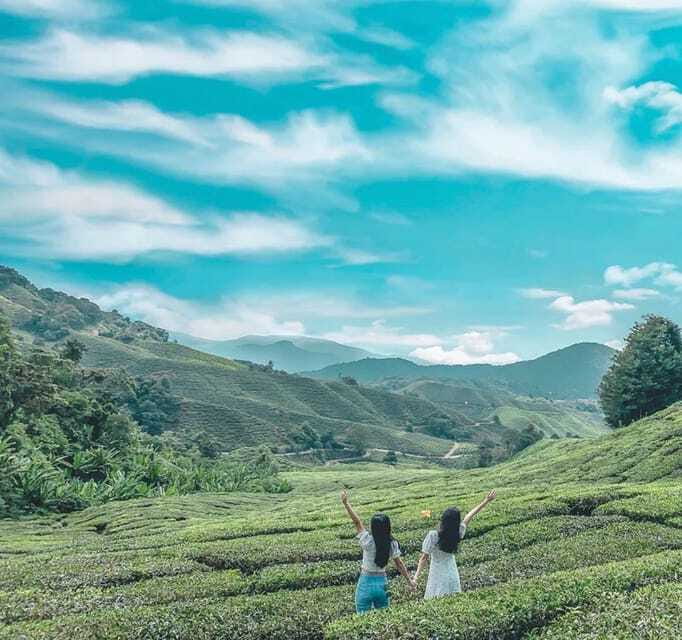 From Kuala Lumpur: Cameron Highlands Day Trip with Transfers - Meeting the Orang Asli community