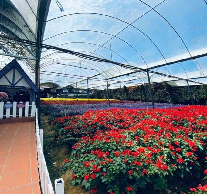 From Kuala Lumpur: Cameron Highlands Day Trip with Transfers - The long return to Kuala Lumpur